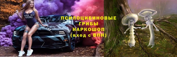 бошки Алексеевка