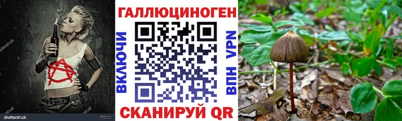Галлюциногенные грибы Cubensis  Жигулёвск 